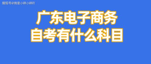 自考电子商务专业能学到什么